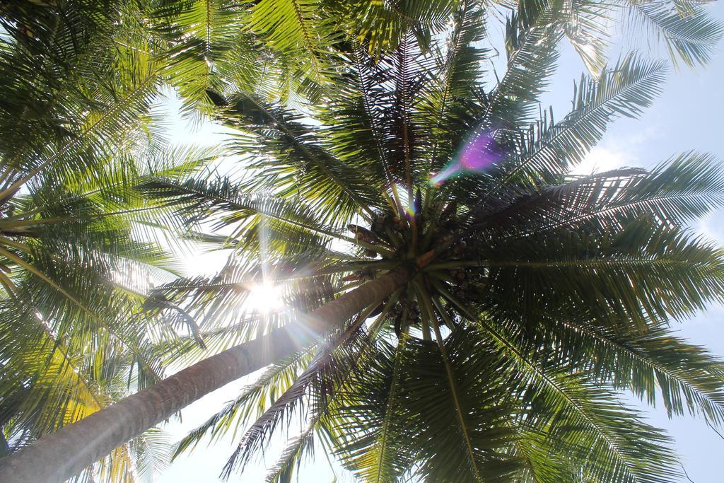 Huraa East Inn Exteriör bild